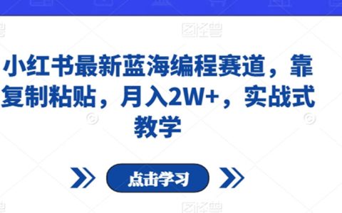 小红书最新蓝海编程赛道，靠复制粘贴，月入2W+，实战式教学