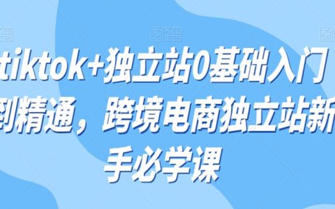 tiktok+独立站0基础入门到精通，跨境电商独立站新手必学课