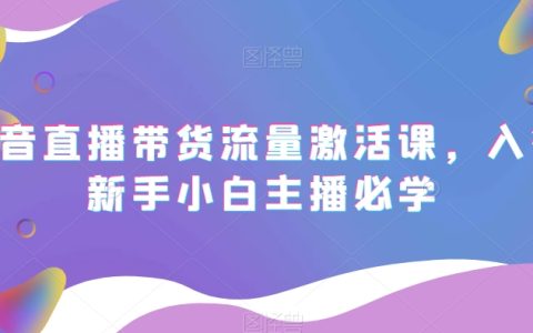 抖音直播带货流量激活课，入行新手小白主播必学