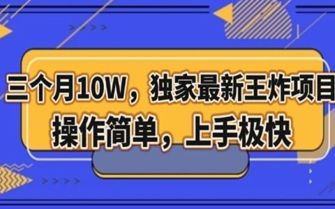 三个月10W，独家最新王炸项目！操作简单，上手极快