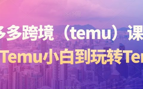 拼多多跨境（temu）课程，从Temu小白到玩转Temu