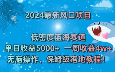 2024最新风口项目，低密度蓝海赛道，单日收益5000+