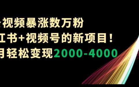 小红书+视频号的新项目！单月轻松变现2000-4000