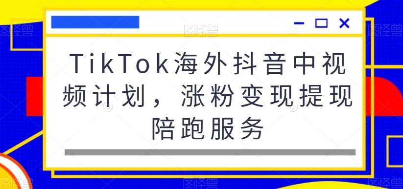 TikTok海外抖音中视频计划