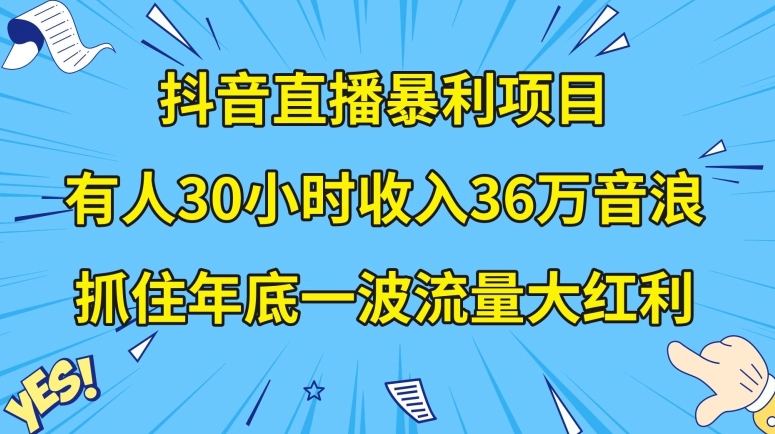 抖音直播暴利项目