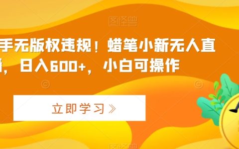 最新快手无版权违规！蜡笔小新无人直播，日入600+