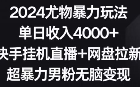 2024尤物暴力玩法，快手挂机直播+网盘拉新，日入4000