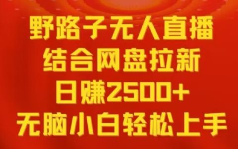 野路子无人直播结合网盘拉新，小白轻松上手，日赚2500+