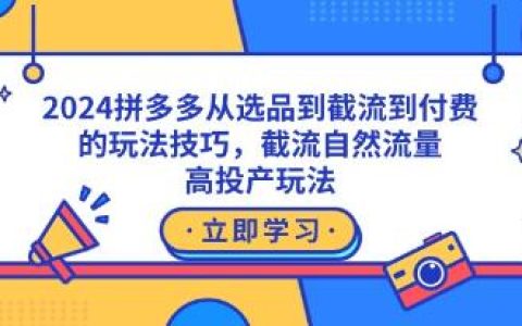 拼多多从选品到截流到付费的玩法技巧，自然流量玩法，高投产玩法