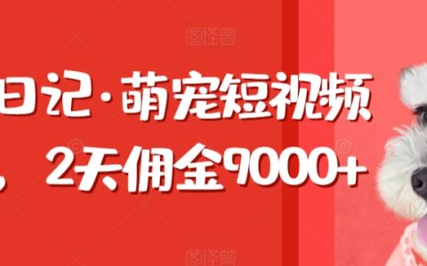 东哲日记《萌宠短视频带货》2天佣金9000+