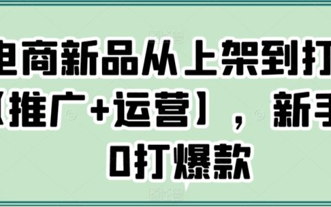 电商新品从上架到打爆【推广+运营】，新手从0打爆款