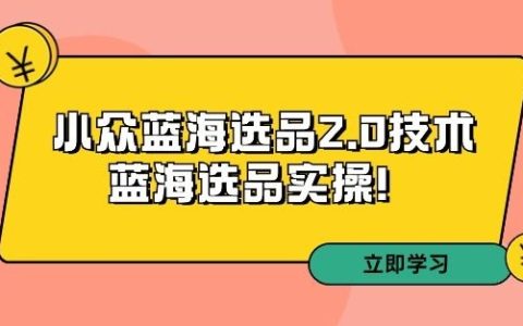 拼多多培训第33期：小众蓝海选品2.0技术-蓝海选品实操