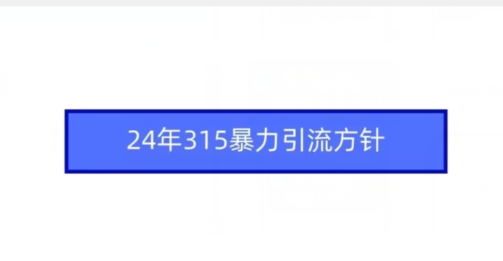 315暴力引流方针