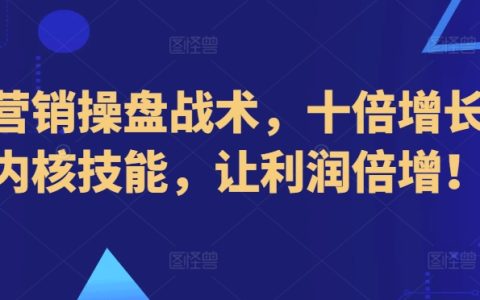 新营销操盘战术，十倍增长的内核技能，让利润倍增