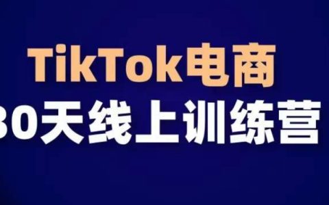 TikTok电商带货30天线上课，不可错过的全球流量洼地