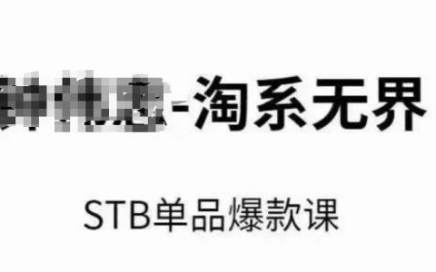 2024淘系无界STB单品爆款课，付费带动免费的核心逻辑