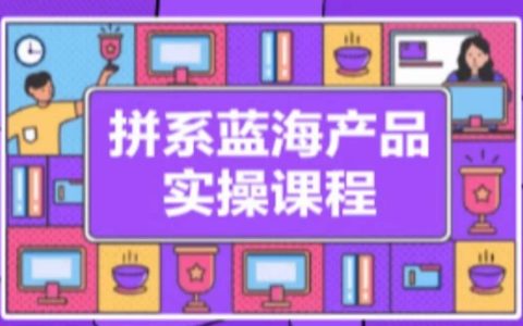 《拼系冷门蓝海产品实操课程》从店铺注册-选品上架-流量维护