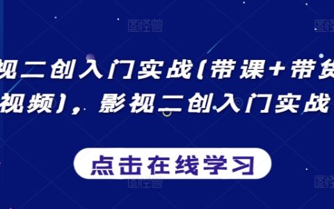 影视二创入门实战(带课+带货+中视频)，影视二创入门实战课