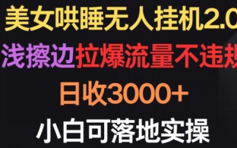 比较靠谱的副业，美女哄睡无人挂机2.0，日收3000+