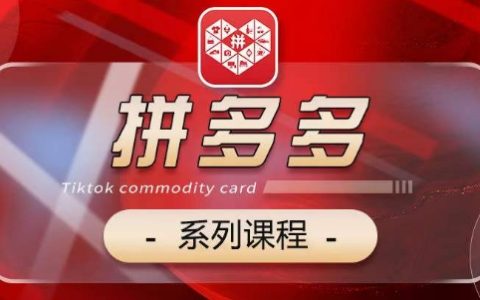 2024拼多多系列课，基础-运营-活动-推广-玩法