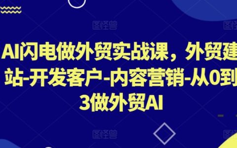 AI闪电做外贸实战课，​外贸建站-开发客户-内容营销-从0到3做外贸