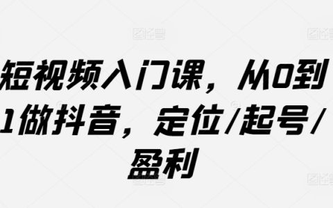 抖音短视频从0到1入门课，定位/起号/盈利