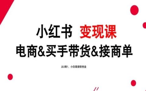 最新小红书变现课，电商&买手带货&接商单，小白高效轻创业