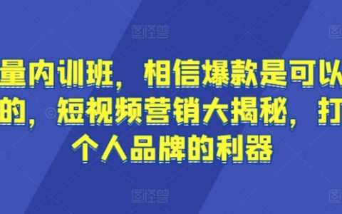流量内训班，短视频营销大揭秘，打造个人品牌的利器