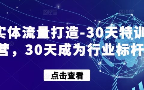 实体流量打造-30天特训营，30天成为行业标杆