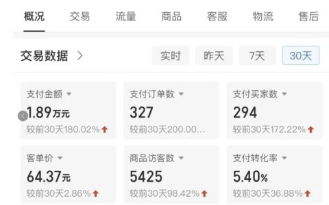 创业项目推荐，拼多多虚拟U盘电商红利项目，小白轻松月赚2万