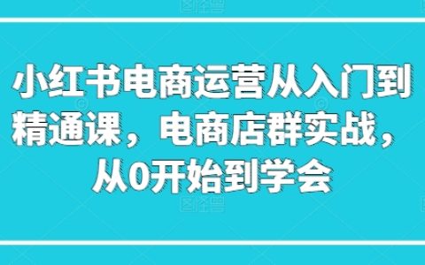 小红书电商运营从入门到精通课，电商店群实战，从0开始到学会