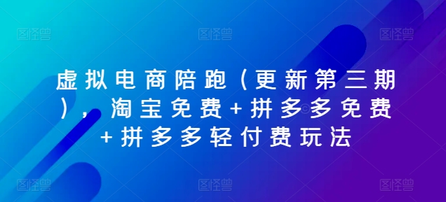 虚拟电商陪跑课