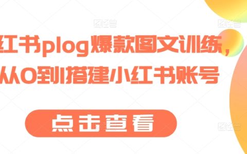 小红书plog爆款图文训练教程，从0到1搭建小红书账号