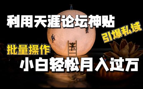 利用天涯论坛神贴，引爆私域，小白轻松月入过w
