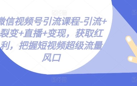 微信视频号引流课程-引流+裂变+直播+变现，获取红利