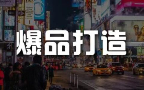 金错刀《爆品营销》快速引爆的方法和案例