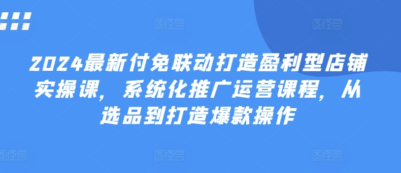最新付免联动打造盈利型店铺实操课