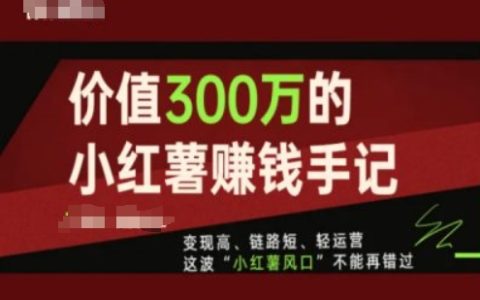 价值300万的小红书赚钱手记，这波“小红薯风口”不能再错过