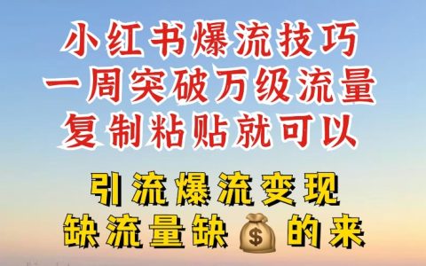 小红书爆流技巧，复制粘贴就可以，引流爆流变现