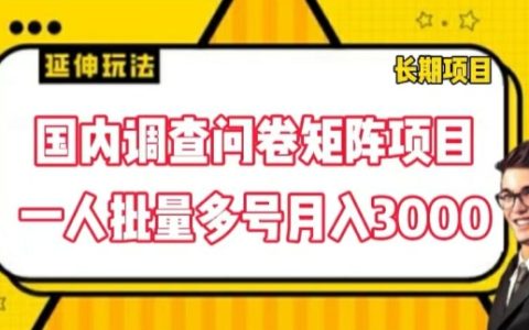 国内调查问卷矩阵项目，一人批量多号月入3000