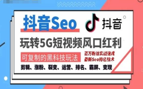 抖音SEO引流培训课程，实现搜索排名，获取精准流量快速变现