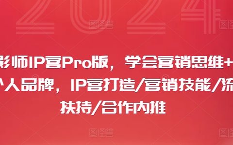 摄影师IP营Pro版，学会营销思维+打造个人品牌