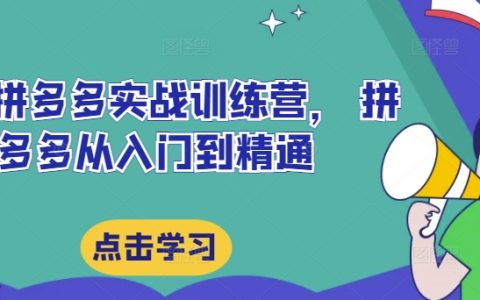 最新拼多多实战训练营， 拼多多从入门到精通