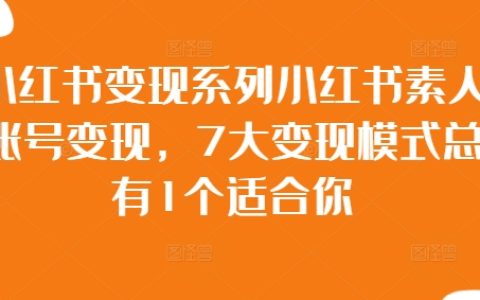 小红书变现系列，7大变现模式总有1个适合你