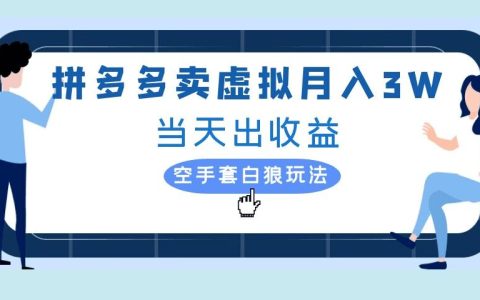 拼多多虚拟项目，单人月入3W+，实操落地项目