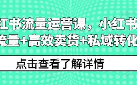 小红书流量运营课，小红书搞流量+高效卖货+私域转化