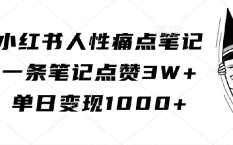 小红书人性痛点笔记，一条笔记点赞3W+，单日变现1k