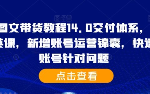 抖音图文带货教程14.0交付体系，快速解决账号针对问题