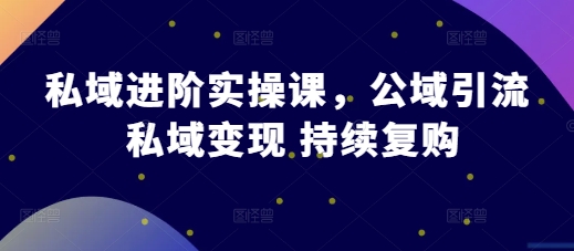 私域进阶实操课