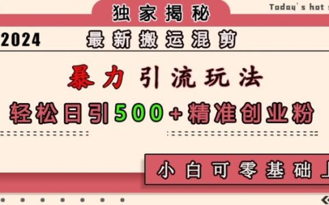 最新搬运混剪暴力引流玩法，轻松日引500+精准创业粉，小白可零基础上手